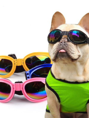Pet Uv Sunglasses (foldable)