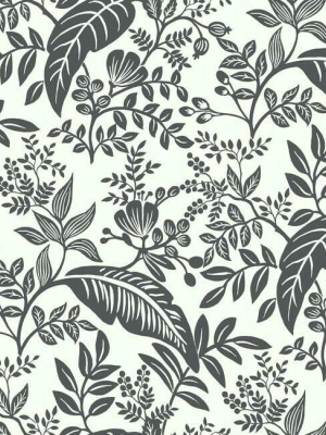 Canopy Wallpaper In Black And White From The Rifle Paper Co. Collection By York Wallcoverings