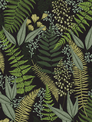 Fern