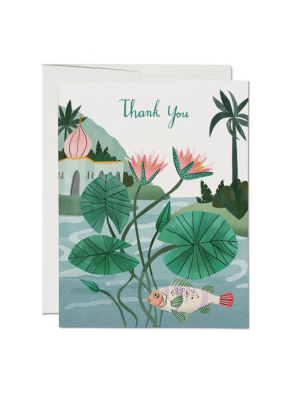 Thank You Water Lily