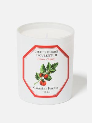 Carrière Frères Candle In Tomato