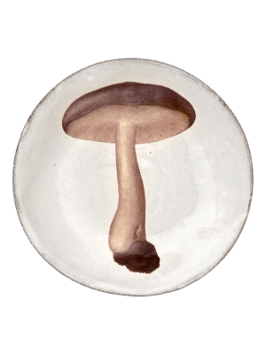 Agaric Nebuleux Plate