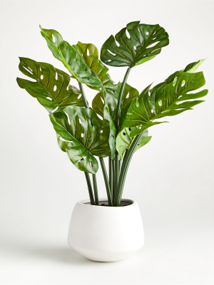 Faux Potted Monstera