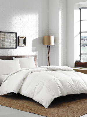 370 Thread Count Goose Down Comforter - Eddie Bauer