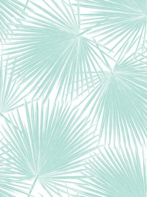 Aruba Wallpaper In Aqua From The Tortuga Collection By Seabrook Wallcoverings