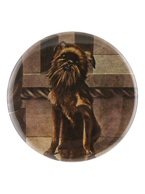 Brussels Griffon