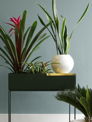 Plant Box Light Grey