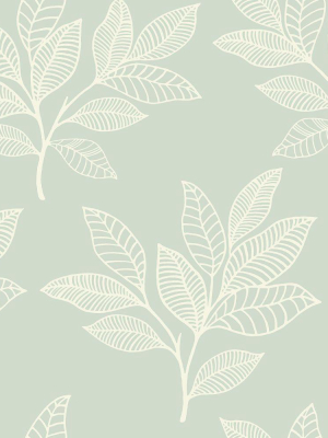 Paradise Leaves Wallpaper In Mint From The Boho Rhapsody Collection By Seabrook Wallcoverings