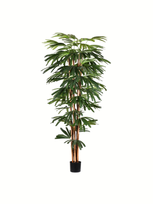 Vickerman Artificial Potted Rhaphis Tree.