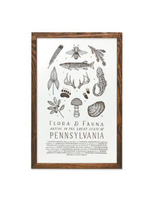 Pennsylvania Field Guide Print