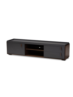 2 Drawer Rikke Two-tone Wood Tv Stand Brown - Baxton Studio