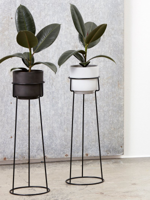 A-plant Stand