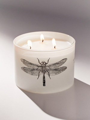 Citronella Candle