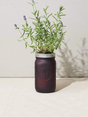 Lavender Garden Jar