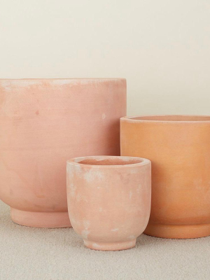 Terra-cotta Footed Planters