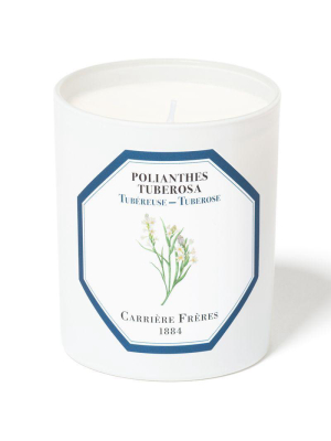 Tuberose Candle