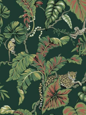 Jungle Cat Wallpaper In Dark Green From The Traveler Collection By Ronald Redding