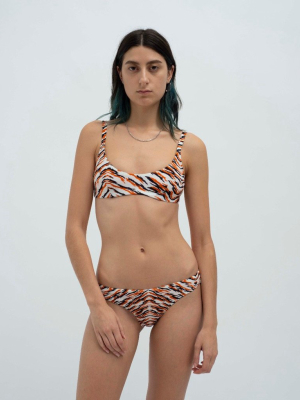 Tiger Print Bikini Bottoms