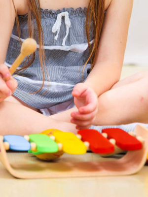 Oval Xylophone