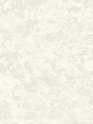 Lichen Wallpaper In Silver And Cream From The Transition Collection By Mayflower