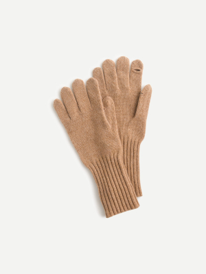 Texting Gloves In Everyday Cashmere