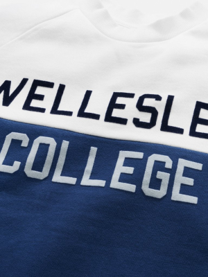 Wellesley Colorfield Sweatshirt