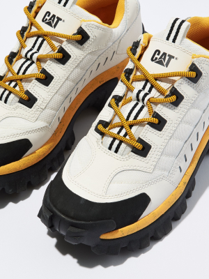 Cat Intruder Sneaker