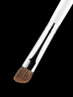 Brush #16 - Angle Brush