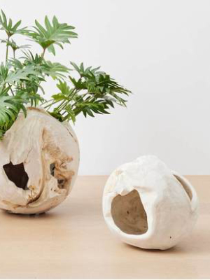 Bleached Teak Sphere Bowls