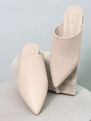 Beige Pointe Custom Design