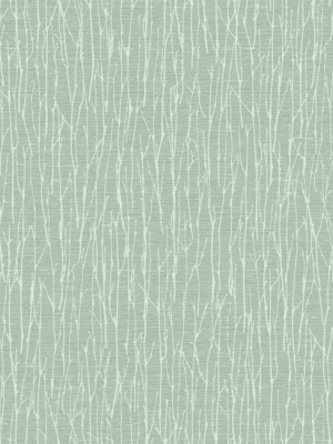 Woodland Twigs Wallpaper In Sage By Antonina Vella For York Wallcoverings