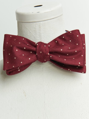 Josh Bow Tie ~ Merlot Dot