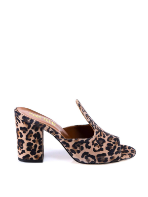 Paris Texas Animal Printed Mules