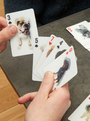 Playing Cards Dogs 3d