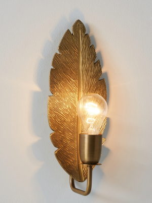 Quill Feather Sconce
