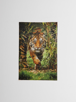 Bamboo Tiger Poster