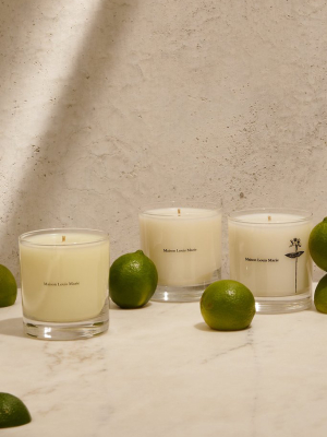 Antidris Candle (lime)