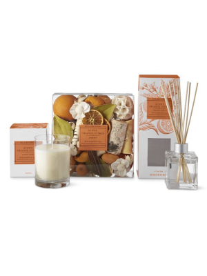 Williams Sonoma Sunny Orange Citrus Home Set