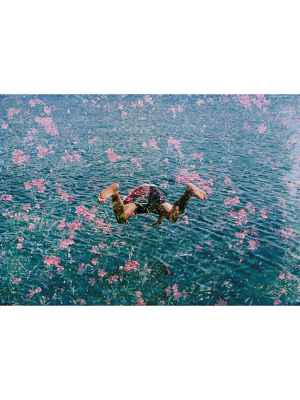 "diving Into Pink Flowers" From Getty Images