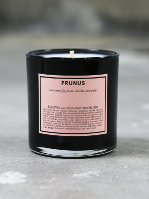 Prunus – Candle