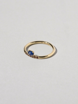 Sapphire & Ant Hill Garnet Stacked Ring