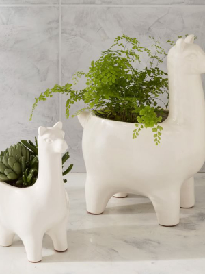 Ceramic Llama Planters