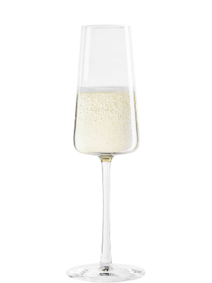 8oz 4pk Crystal Power Champagne Flute Glasses - Stoelzle