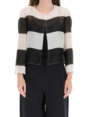 Max Mara Studio Dorema Striped Jacket