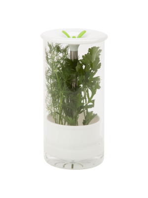 Honey-can-do Glass Herb Preserver