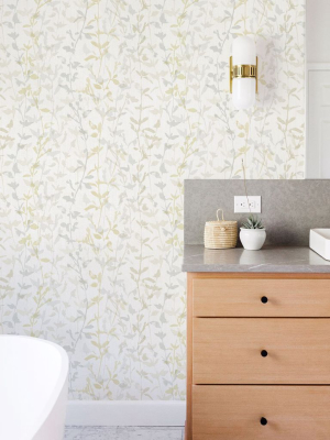 Thea Floral Trail Wallpaper In Light Grey From The Scott Living Collection By Brewster Home Fashions