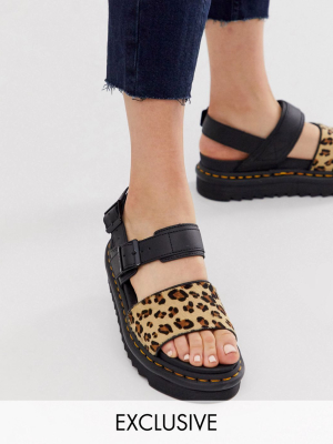 Dr Martens X Asos Limited Edition Voss Sandals In Leopard