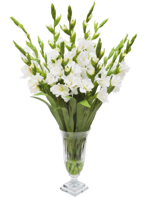White Gladiolus In Cut-glass Vase
