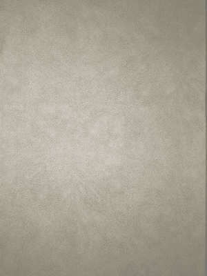 Sample Mako Wallpaper In Taupe Gray From The Komodo Collection By Osborne & Little