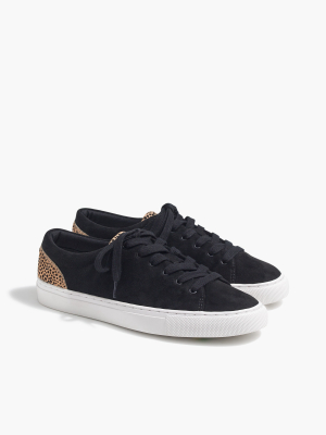 Road Trip Microsuede Sneakers With Leopard Calf Hair Trim